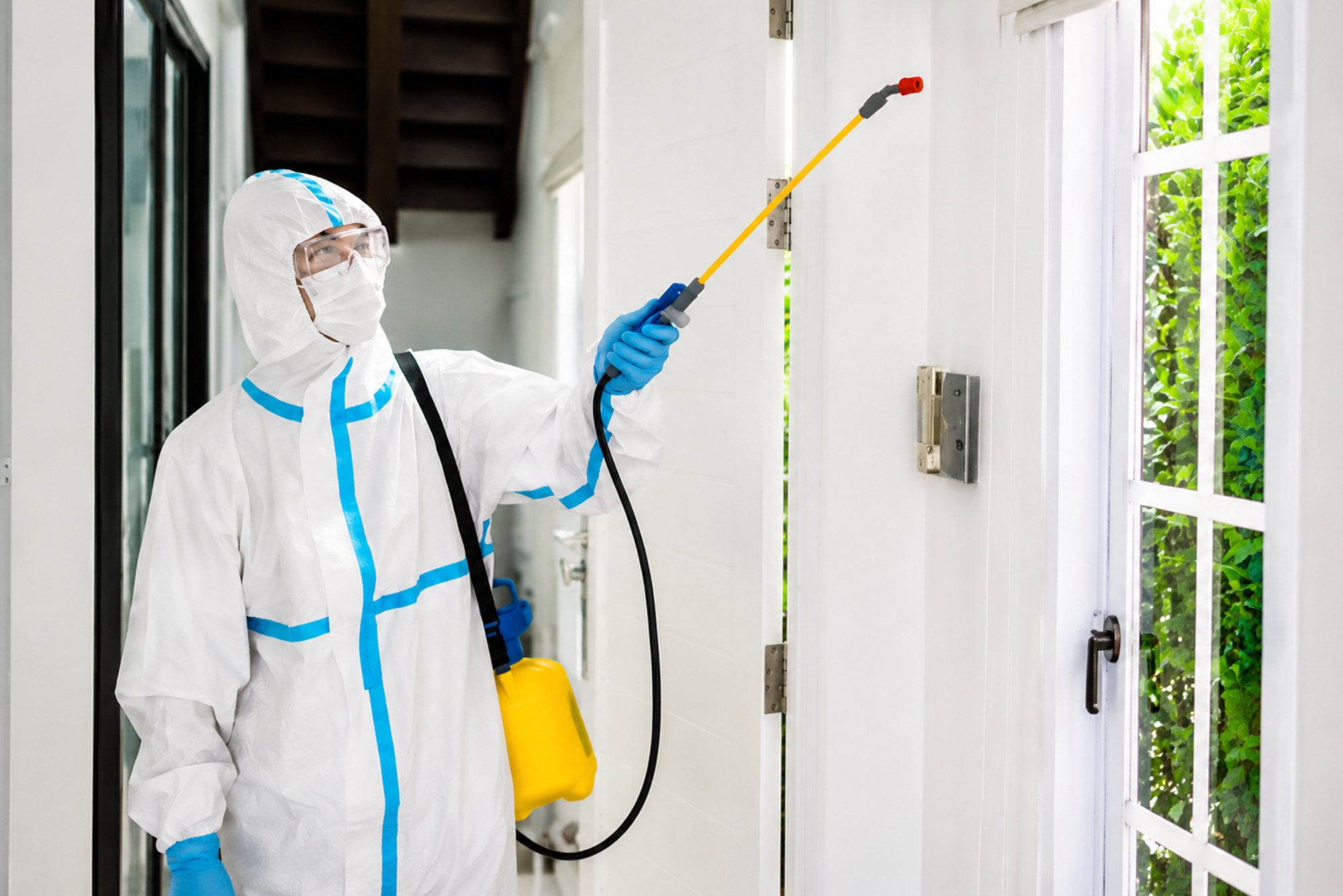 Pest Control
